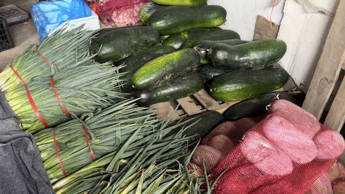 蔬菜價格高位運行，專家預測九月上旬將回落