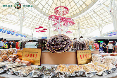 云南南華 菌旅與鮮果，邀您解鎖別樣清涼暑期